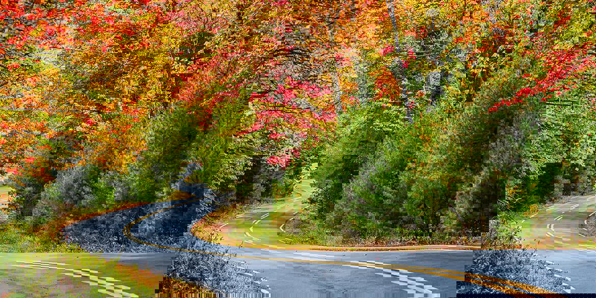 Fall Foliage Drive & Stay Guide In NY’s Allegheny Mountain Range