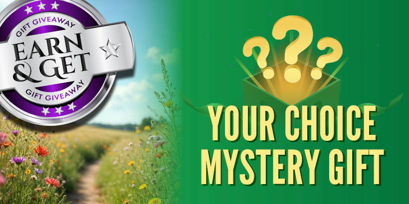 Earn & Get: Your Choice Mystery Gift in June at Seneca Allegany